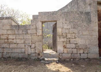 P1322292.jpg - Casale Ostuni - foto 3