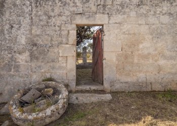 P1322297.jpg - Casale Ostuni - foto 5