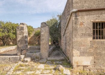 P1322306.jpg - Casale Ostuni - foto 6