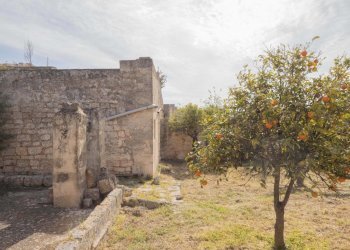 P1322304.jpg - Casale Ostuni - foto 7