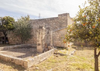 P1322305.jpg - Casale Ostuni - foto 8