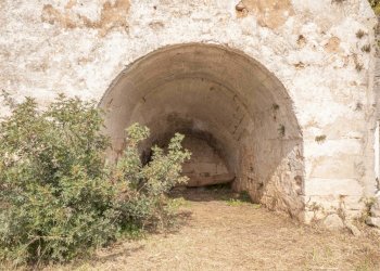 P1322324.jpg - Casale Ostuni - foto 9