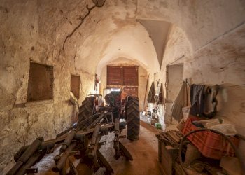 Grassi_15.jpg - Casale Ostuni - foto 13