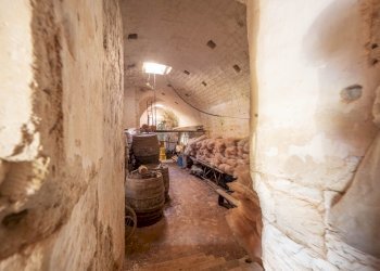 Grassi_16.jpg - Casale Ostuni - foto 14