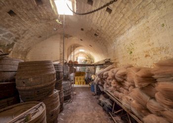 Grassi_12.jpg - Casale Ostuni - foto 15