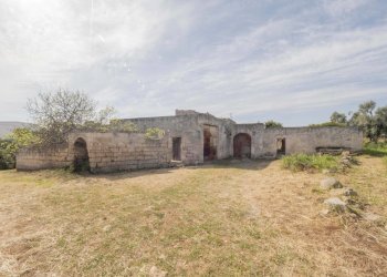 P1322290.jpg - Casale Ostuni - foto 19