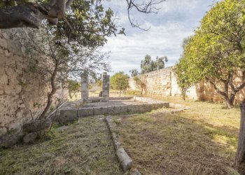 P1322298.jpg - Casale Ostuni - foto 20