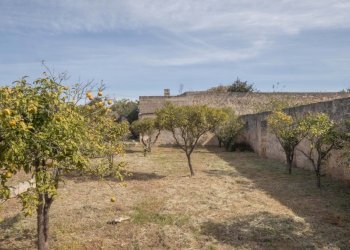 P1322309.jpg - Casale Ostuni - foto 21