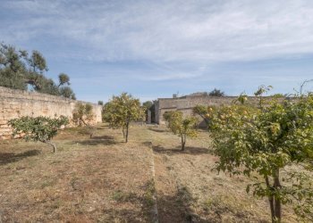 P1322311.jpg - Casale Ostuni - foto 22