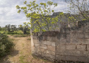 P1322316.jpg - Casale Ostuni - foto 23