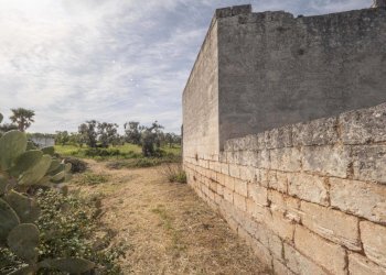 P1322317.jpg - Casale Ostuni - foto 24