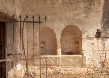 P1322336.jpg - Casale Ostuni - foto 29