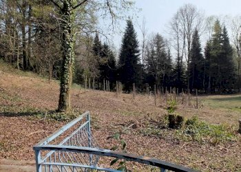 Rustico via per Besnate, Gallarate - foto 9