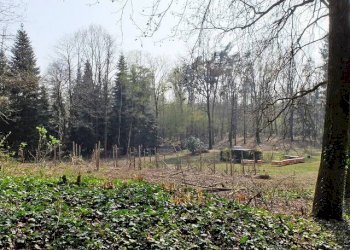 Rustico via per Besnate, Gallarate - foto 13