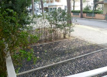 Appartamento Cervia - foto 4