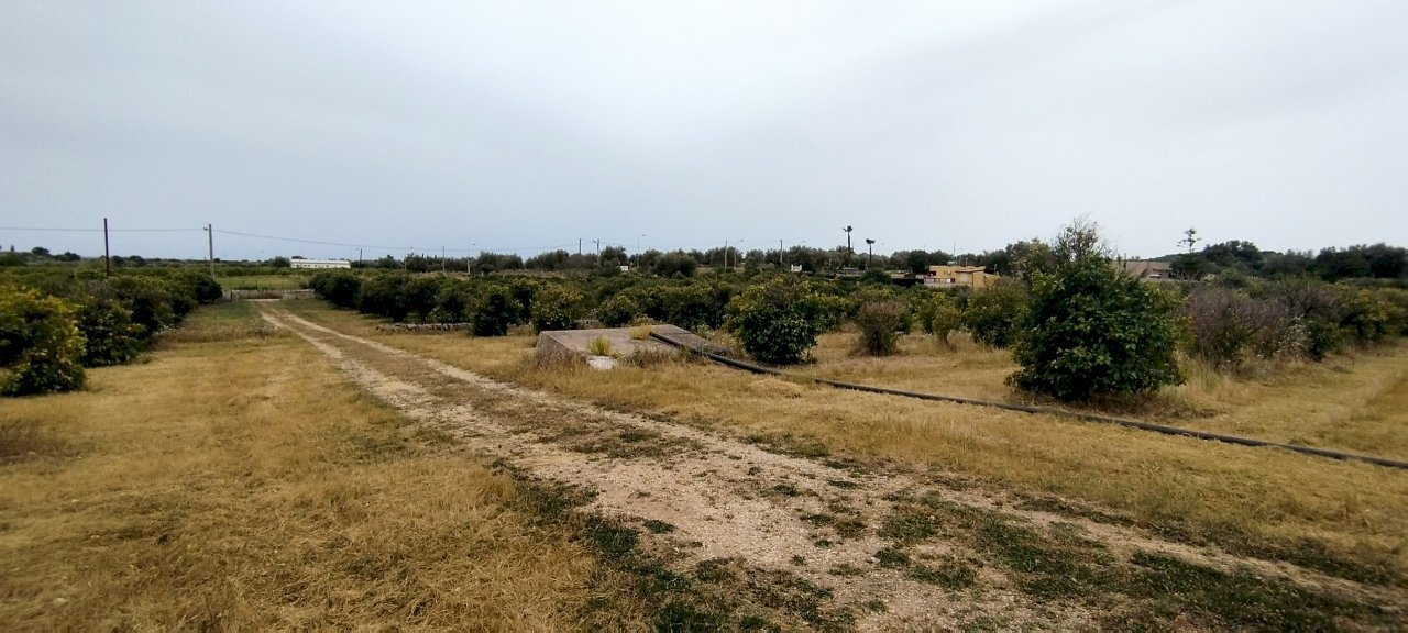 IMG_20220428_162538.jpg - Terreno agricolo CONTRADA FALCONARA, Noto - foto 3