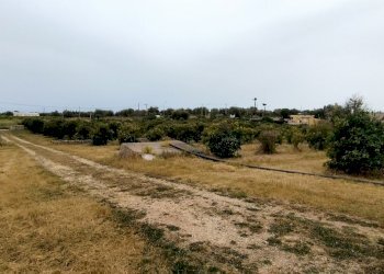IMG_20220428_162538.jpg - Terreno agricolo CONTRADA FALCONARA, Noto - foto 3