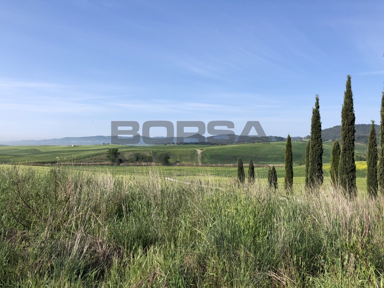 B5378899-54FE-470D-BD80-35616DAE1C7D.jpeg - Terratetto - Terracielo Via Stazione 8, Orciano Pisano - foto 3