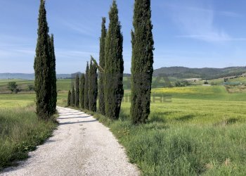 27A2DE8D-B71B-4241-879D-9698F4F96EAC.jpeg - Terratetto - Terracielo Via Stazione 8, Orciano Pisano - foto 1