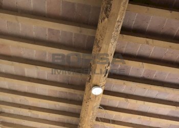 82B979CB-A5CD-455D-86BC-2B4E7E0F1C5B.jpeg - Terratetto - Terracielo Via Stazione 8, Orciano Pisano - foto 16