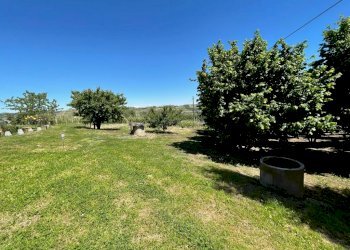 Rustic Canale - photo 8