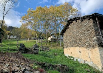 Rustico Borgata Vittone, Frassino - foto 3