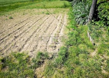 IMG_20220429_151627.jpg - Townhouse Via Usciana 112, Castelfranco di Sotto - photo 11