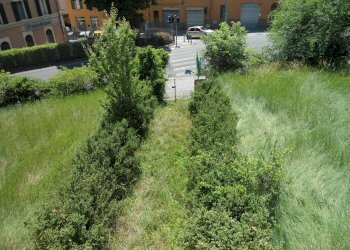 GIARDINO - Villa via della Costituzione, Vergato - foto 18