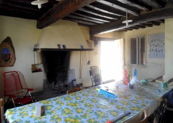 camino - Terreno agricolo via Tombe, Monterenzio - foto 7