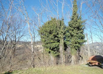 terreno - Terreno agricolo via Tombe, Monterenzio - foto 15