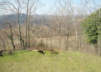 terreno - Terreno agricolo via Tombe, Monterenzio - foto 20