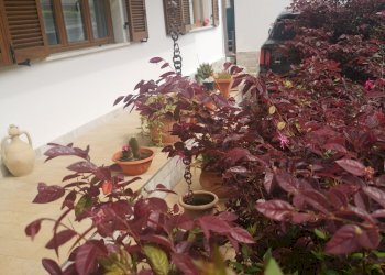 IMG_20220426_151346.jpg - Villa Via Del Bozzo Nord 10, Massa - foto 30