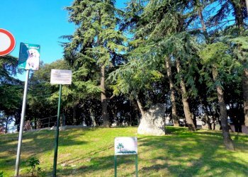 Appartamento Genova - foto 15