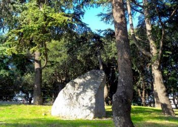 Appartamento Genova - foto 16