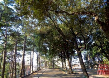 Appartamento Genova - foto 17