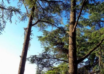 Appartamento Genova - foto 18