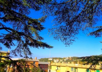 Two-room apartment Genova - photo 20