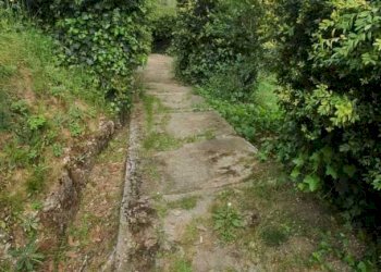 WhatsApp Image 2022-05-09 at 11.45.05 (11).jpeg - Villa Vezzano Ligure - foto 18