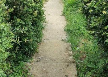 WhatsApp Image 2022-05-09 at 11.45.06 (2).jpeg - Villa Vezzano Ligure - foto 20