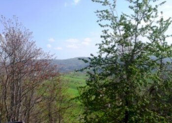 Rif 344  15.JPG - Villa Sassello - foto 12