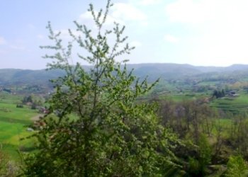 Rif 344  20.JPG - Villa Sassello - foto 17