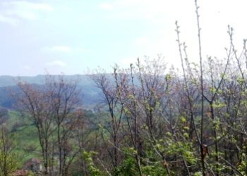 Rif 344  02.JPG - Villa Sassello - foto 23