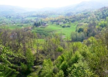 Rif 344  21.JPG - Villa Sassello - foto 24