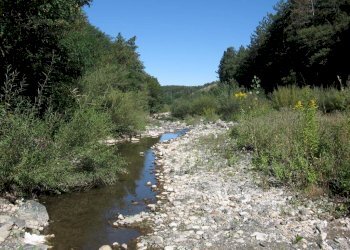 Rif 008 14.JPG - Appartamento Pontinvrea - foto 14