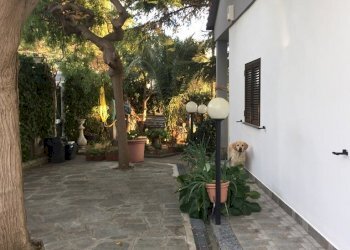 IMG_3936.JPG - Rustic Celle Ligure - photo 6