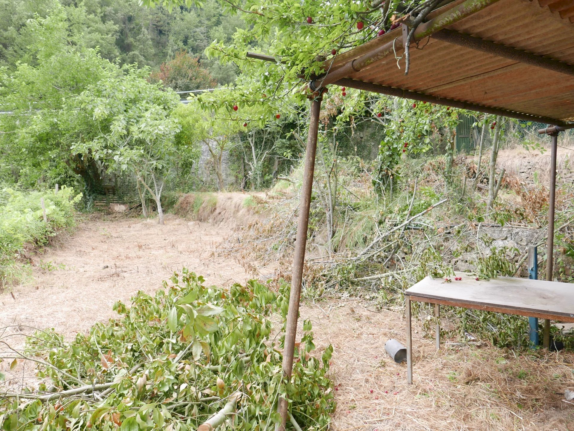 Agricultural land Soldano - photo 2