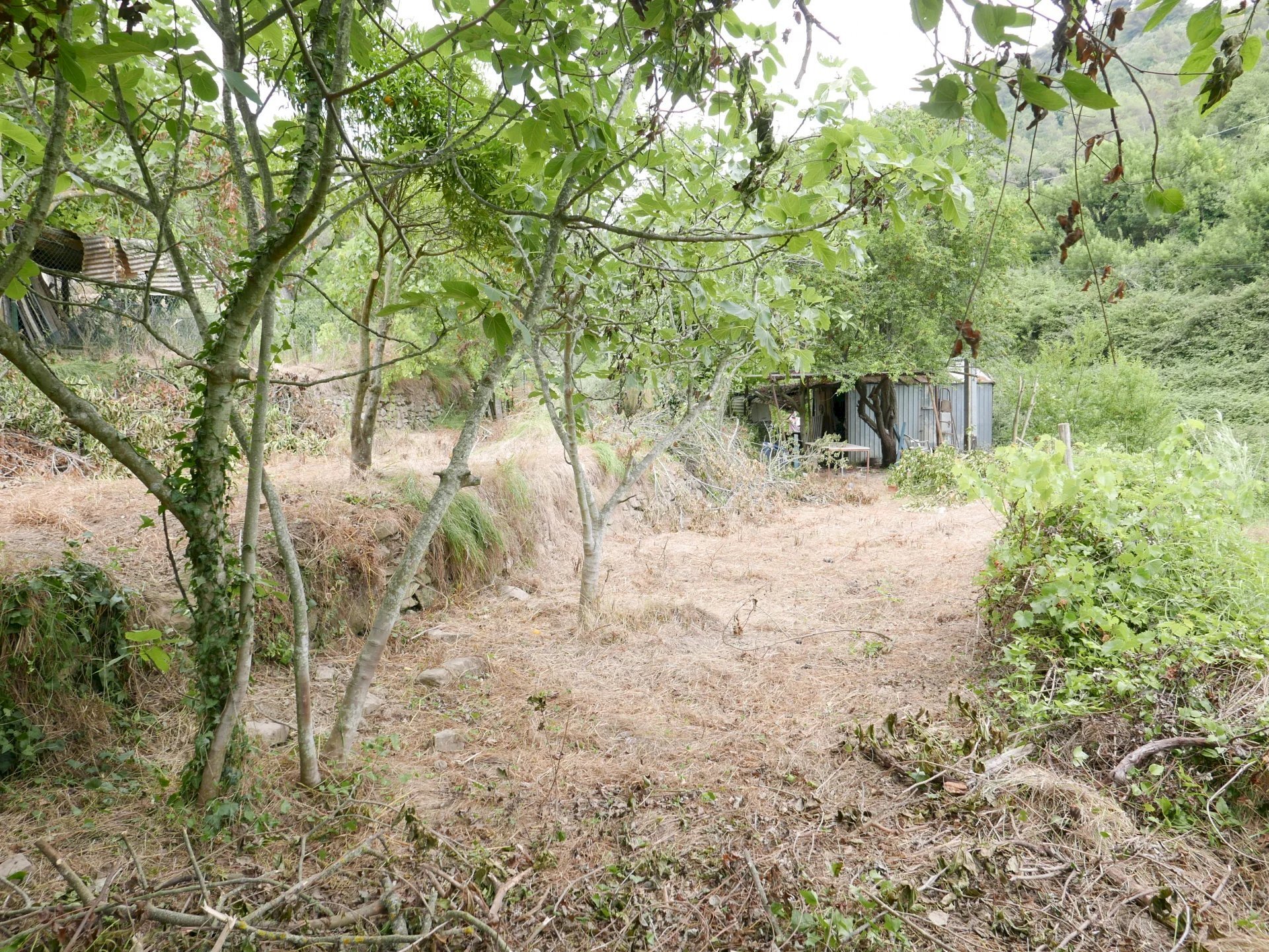 Agricultural land Soldano - photo 3