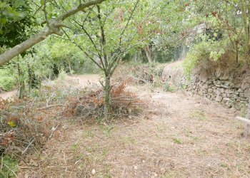 Agricultural land Soldano - photo 1