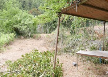 Agricultural land Soldano - photo 2