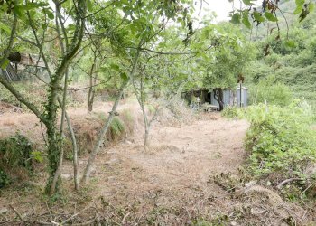 Agricultural land Soldano - photo 3